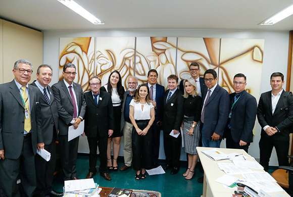 A Dra. Danyelle Marini, diretora-tesoureira do CRF-SP, participou da reunião em Brasília 